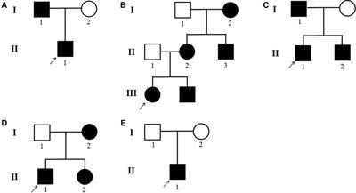 Identification of five novel variants of ADAR1 in dyschromatosis symmetrica hereditaria by next-generation sequencing